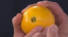 Ovocné priznanie - Recept od vás pre vás