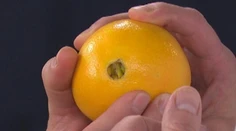 Ovocné priznanie - Recept od vás pre vás