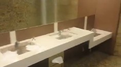 Scéna ako z hororu v bratislavskom Auparku