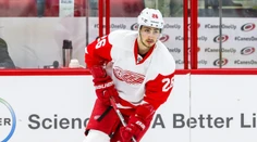 Mal byť generačný talent a ťahúň slávneho klubu NHL. Slováka po rokoch zaradili medzi najväčšie zlyhania