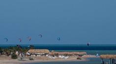 Obľúbená dovolenková destinácia Slovákov zaviedla pre útoky žralokov prísnejšie opatrenia. Na čo si dať pozor?