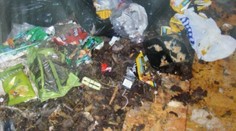 Špina, živé aj mŕtve zvieratá. Takto si nažívali otec s dcérou