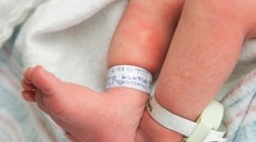 Prvým bábätkom v Trenčíne je dievčatko. Pri pôrode asistovala aj prababka