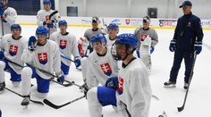 Slová skauta pred NHL draftom potešia každého fanúšika. V prvom kole vidí až trojicu Slovákov
