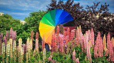 Už je známy Homofób roka: Víťazný výrok znel z dedinských rozhlasov pred voľbami