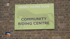 Jazdecká škola uprostred mestskej džungle