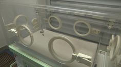 Prípad mŕtveho novorodenca: Pozreli sme sa, ako kontrolujú hniezdo záchrany inde