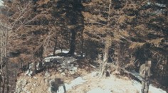 Temná tvár jari v slovenských horách: Zberači striehnu na vzácnu korisť z jeleňa