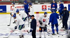 Veľmi ťažký úvod a ku koncu povinnosť bodovať. Tu nájdete rozpis zápasov Slovenska na MS