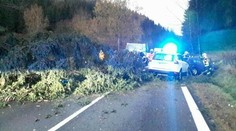 Veterná smršť má prvú obeť. V Česku spadol na auto strom a vodič zahynul