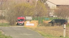 Úder slintačky na farmu v Plaveckom Štvrtku je ranou pre celý región. Nákazu zrejme priniesol externý pracovník