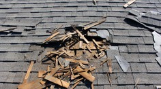 Žena počula doma zvláštne zvuky. Príčina ju vydesila