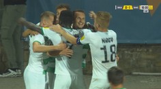 VIDEO: Dunajská Streda siahala na víťazstvo, ale Skalica gólom v úplnom závere ratovala aspoň bod