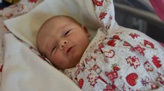 Kedy budú mať otcovia platené voľno, aby pomohli s narodeným bábätkom? Povedia na jeseň