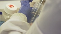 Lekári hlásia potešujúcu správu. Pravdepodobne našli spôsob, ako vyliečiť AIDS