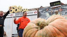 VIDEO: Väčšiu tekvicu svet nevidel. Učiteľ z Minnesotty sa zapísal do Guinessovej knihy
