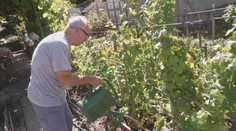 Dôchodca nám ukázal svoj malý raj. V záhrade pestuje úrodu aj pre manželku, s ktorou žije 63 rokov