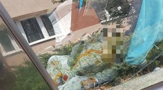 Zrejme sme nepoučiteľní. Mama nechala v horúčave svoje dieťa v aute