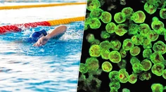 Kúpalisko Vadaš tvrdí, že slzovičkovka v odobratých vzorkách nebola. Hygienici to zatiaľ oficiálne nepotvrdili