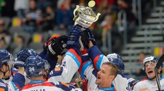 Slováci porazili aj Švajčiarov a suverénne zvíťazili na Nemeckom pohári