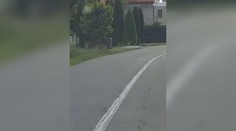 Chvíľa hrôzy pre obyvateľa Detvy. Do dvora mu vbehol medveď