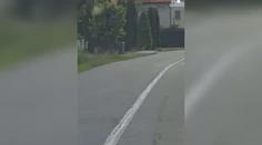 Chvíľa hrôzy pre obyvateľa Detvy. Do dvora mu vbehol medveď
