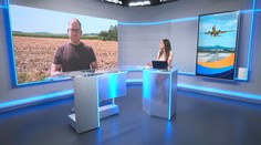 Martin Hanzel: Bratislava predbehla Viedeň
