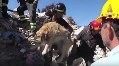 Zemetrasenie ich pripravilo o dom. Po 9 dňoch prišli k troskám a neverili vlastným očiam