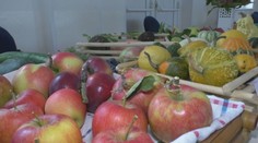 Jeseň nie je len o sfarbených lesoch. Záhradkári nám ukázali svoju úrodu