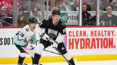 St. Louis slúžil desať rokov. Tarasenko v zámorí prvýkrát mení klub