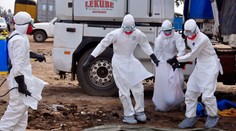 WHO má pripravených najmenej 1500 dávok experimentálnej vakcíny proti ebole