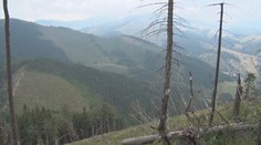 Lesoochranári chcú zrušiť NAPANT