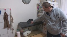 Paľa po nehode zbavili svojprávnosti. Jeho stav sa zlepšil, no stále nemá plnohodnotný život