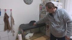Paľa po nehode zbavili svojprávnosti. Jeho stav sa zlepšil, no stále nemá plnohodnotný život
