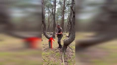 VIDEO: U našich susedov rastie les ako vystrihnutý z hororu. Spájajú ho s nacistami aj zlými silami