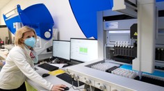 Slovensko potrebuje vyrobiť pascu na mozgy. Ak prilákame Ukrajincov, vydýchne si trh práce aj naša ekonomika