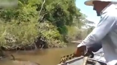 Nezľaknite sa! Toto je asi najväčšia anakonda na svete