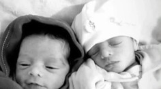 Obrovská tragédia: Pár sa roky pokúšal o deti, teraz im dvojičky zabil ich pes