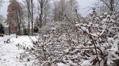 Zima sa na Slovensku opatrne rozbieha. V týchto oblastiach v najbližších hodinách nasneží