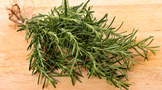 Zabudnutá bylina z kuchyne starých mám. Pomáha tráveniu, svalom aj vlasom