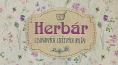 Herbár liečivých bylín. Vytvorte si aj vy taký!