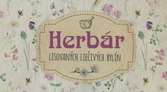 Herbár liečivých bylín. Vytvorte si aj vy taký!