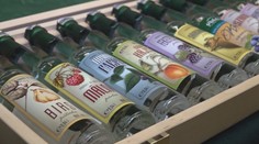 Vďaka bohatej úrode pálenice nestíhajú. Pálenka sa robí aj z hrozna