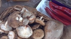 Wafľový koláč na spôsob pité