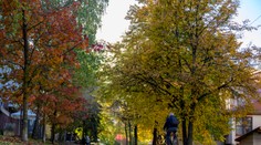 Pred nami sú posledné pekné jesenné dni, počasie sa už začne kaziť