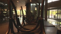 Kuchárom a čašníkom došla trpezlivosť: Pripravujú žalobu na hlavného hygienika Mikasa