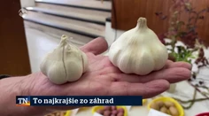 To najkrajšie zo záhrad