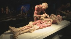 Kontroverzná výstava zabalzamovaných ľudských tiel porušuje zákon. Organizátorovi hrozí mastná pokuta