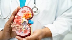 Zvláštny moč, opuchy, ale aj únava. Takto sa môžu hlásiť zlyhávajúce obličky, varujú lekári