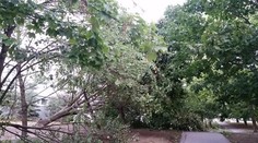 Po búrke Ophelia zostáva bez elektriny vyše 200.000 domácností